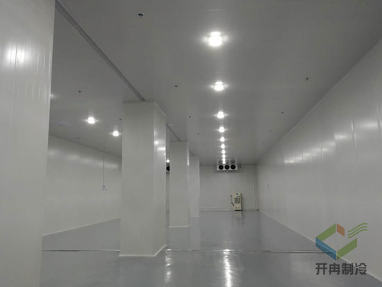 藥品冷凍庫建造安裝設計的特點及優勢是哪些？