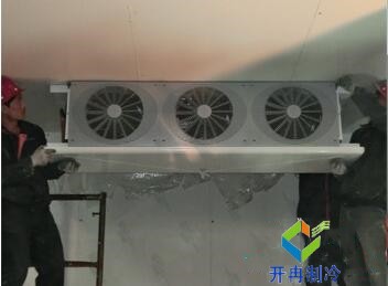 東莞100平水果保鮮冷庫造價大概要多少錢？