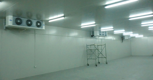 5000噸大蒜需建多大冷庫(kù)，冷庫(kù)造價(jià)多少錢