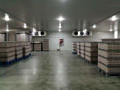 定制一個1000立方食品冷藏庫，需要多少錢？