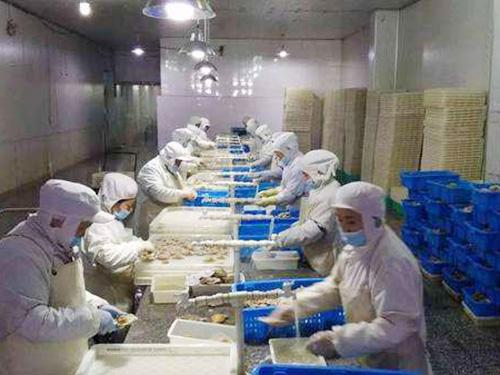 3000立方低溫冷凍庫(kù) 3000立方低溫冷凍庫(kù)