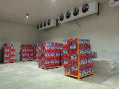 建造一個4000平方蘋果冷庫大概需要多少錢?