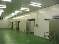 2500噸牛肉冷凍庫，冷庫價格及能耗