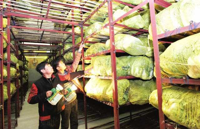 1582512805585661.jpg timg (3).jpg