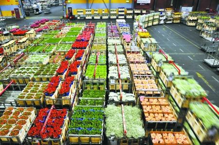 鮮花冷庫 鮮花冷庫