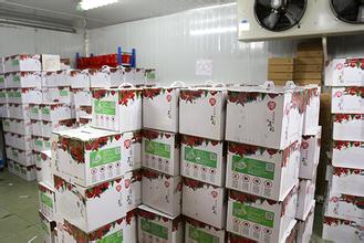 水果批發冷庫 水果批發冷庫