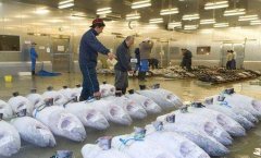 占地4000平高5米海鮮冷庫安裝需要多少錢？