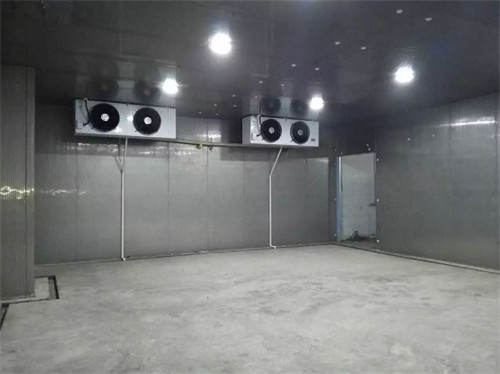 馬蹄(荸薺)保鮮冷庫 馬蹄(荸薺)保鮮冷庫