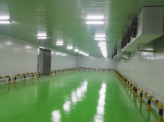 2500-3000平米海鮮低溫冷凍庫(kù)多少錢(qián)