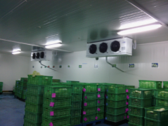 建1000噸水果冷庫(5000立方)大概多少錢