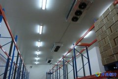 1300平冷庫多少錢,8000立方米冷庫造價