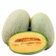 哈密瓜在保鮮庫可以儲存多久，儲存溫度是多少？