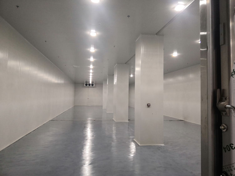 冰鮮冷庫(kù),600平方食品冰鮮冷庫(kù)成本多少錢