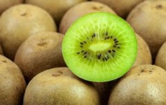 獼猴桃氣調保鮮冷庫造價，氣調庫哪家好