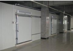 上海建1500平米分類冷庫，1500平米冷庫總投資需要多少錢